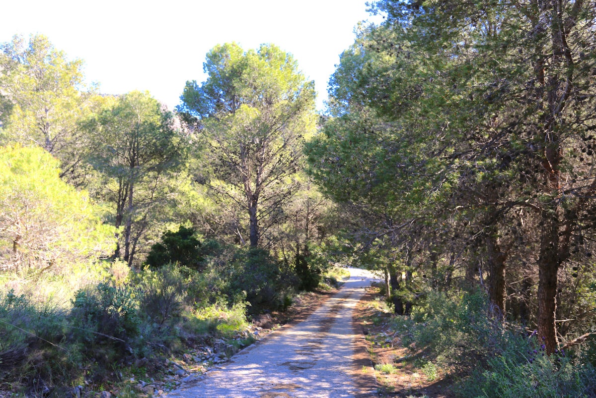 Villa til leie i Alhaurin de la Torre